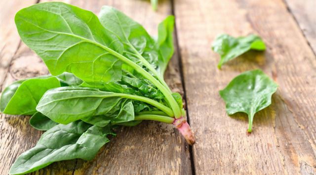 spinach spinach