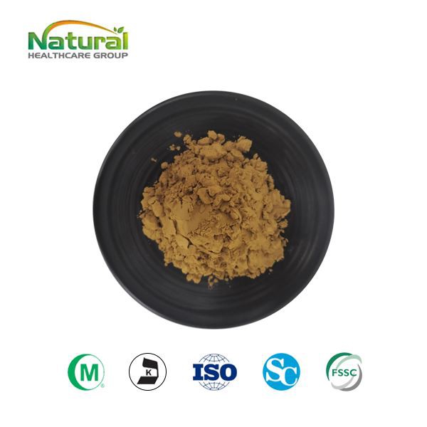 مسحوق مستخلص القرع المر