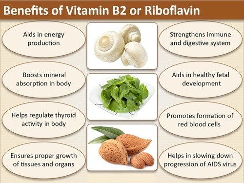 Riboflavin benefit Riboflavin benefit