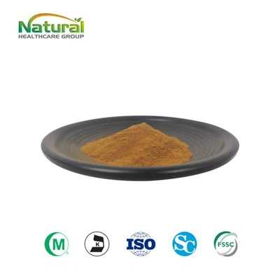 مستخلص فطر تشاجا العضوي