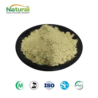 مسحوق بروتين بذور اليقطين العضوي